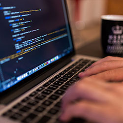 一幕惊天秘密：从被忽视到网红现象，这背后的故事