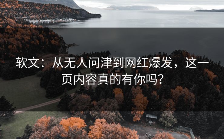 软文:从无人问津到网红爆发,这一页内容真的有你吗? 软文:从无人问津到网红爆发,这一页内容真的有你吗?